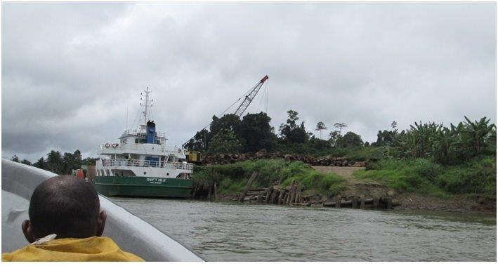 3. Hepea logging jetty on Vailala River